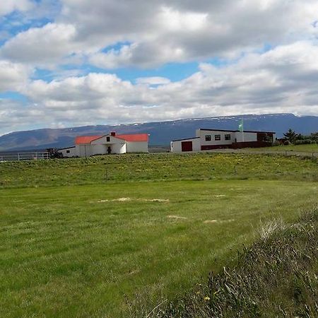 Bed and Breakfast Glaesibaer Reynistadur Exterior foto